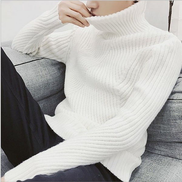 Turtle Neck Sweater Men