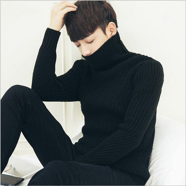 Turtle Neck Sweater Men